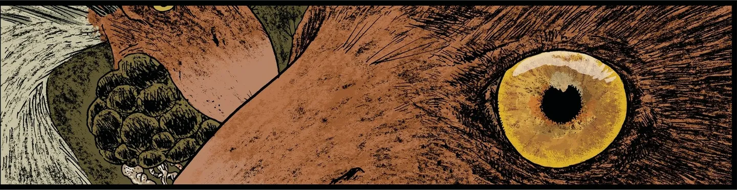 les yeux des oiseaux terreur