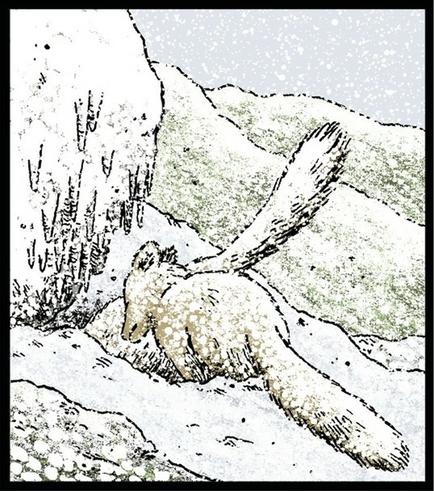 un renard qui creuse dans la neige