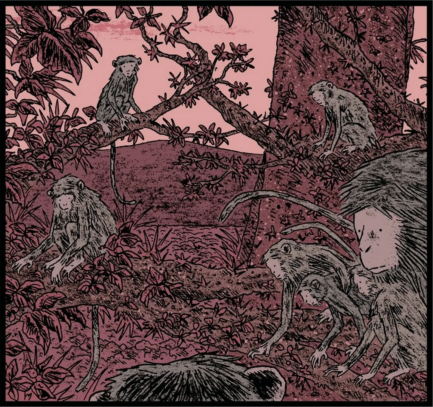 des singe dans un arbre