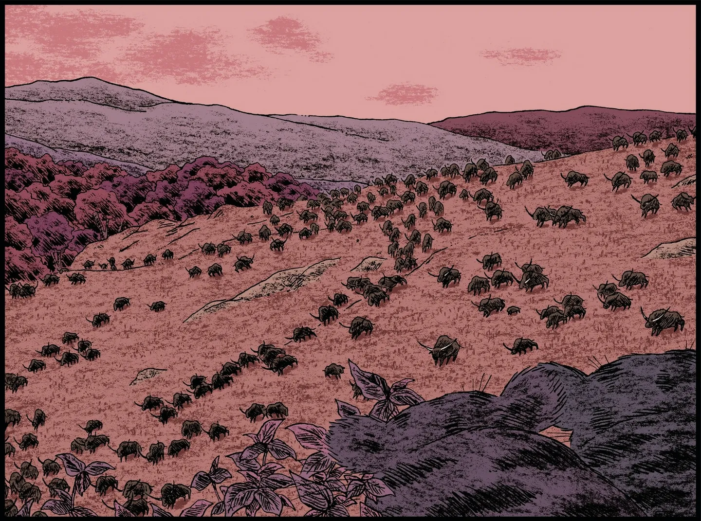 une plaine avec des bisons