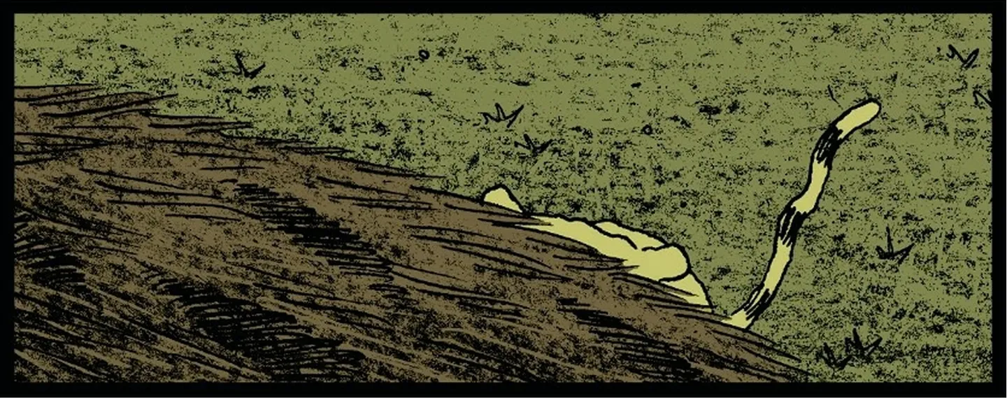 un bébé tigre qui bois du lait